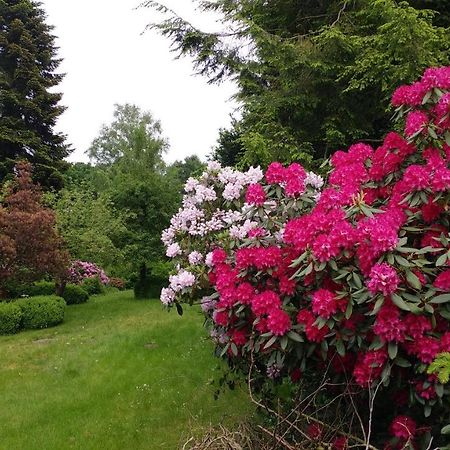 Ferienwohnung Gartenblick Worpswede Exterior foto