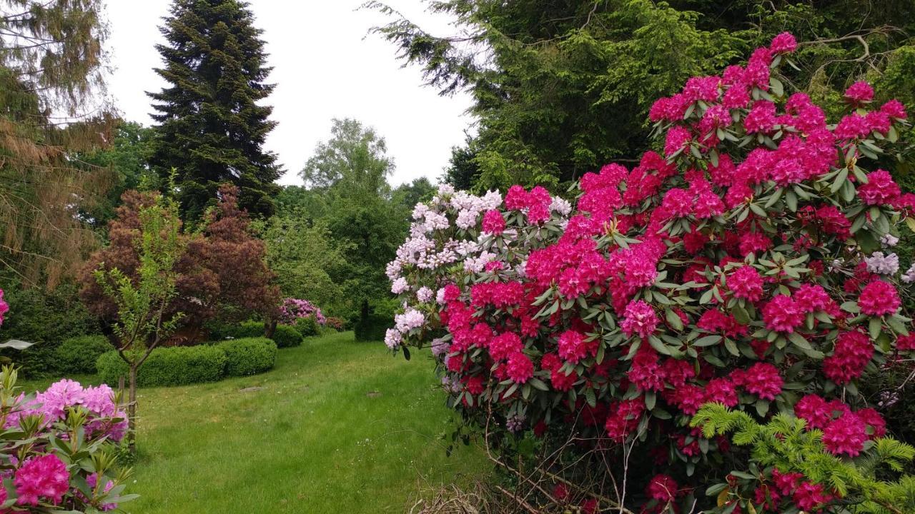 Ferienwohnung Gartenblick Worpswede Exterior foto